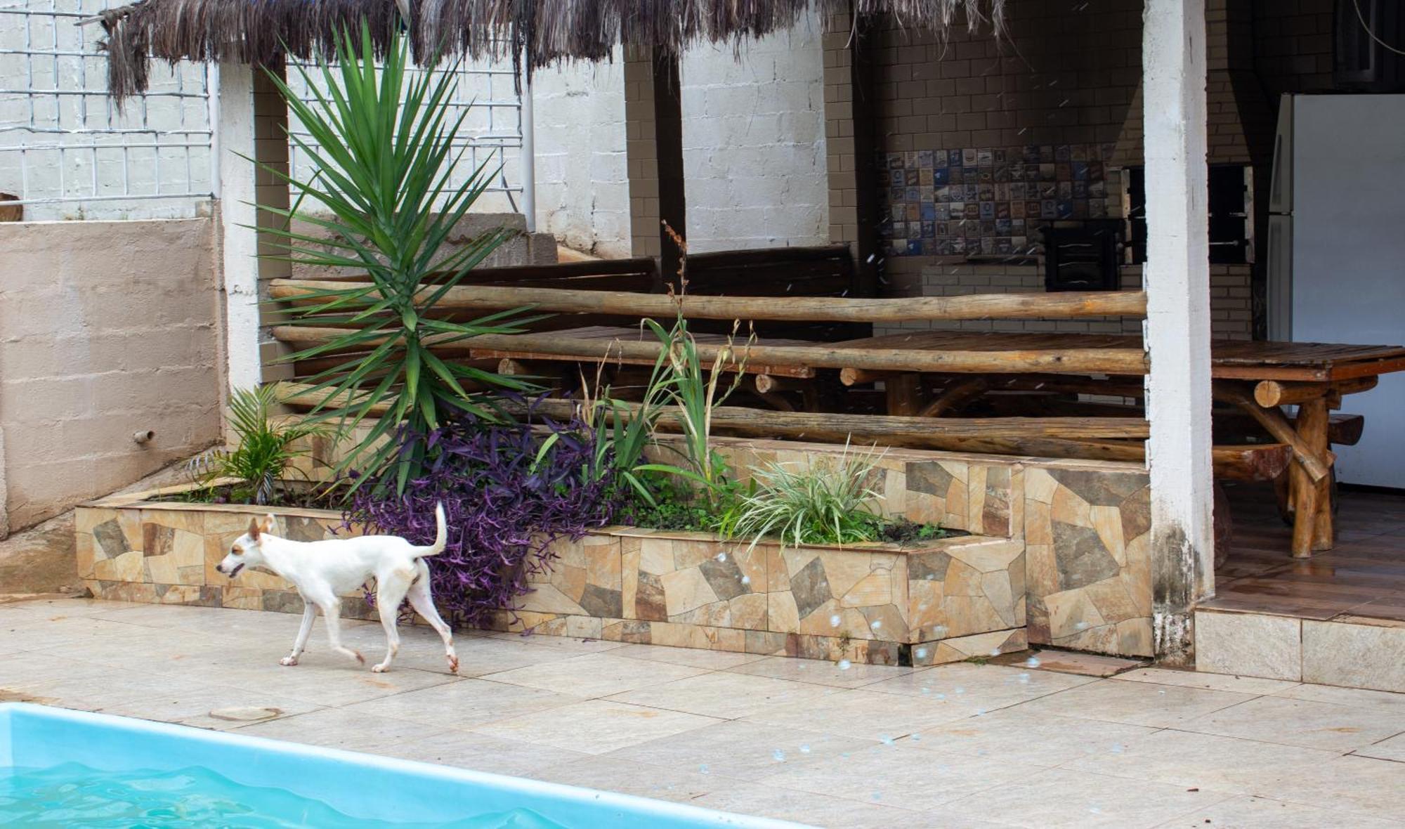 Chacara Familia Buscape Oliveira Villa Aracariguama Exterior photo